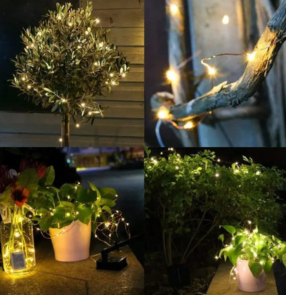 LUZ DE CRISTAL   PACK DE 30 METROS  .